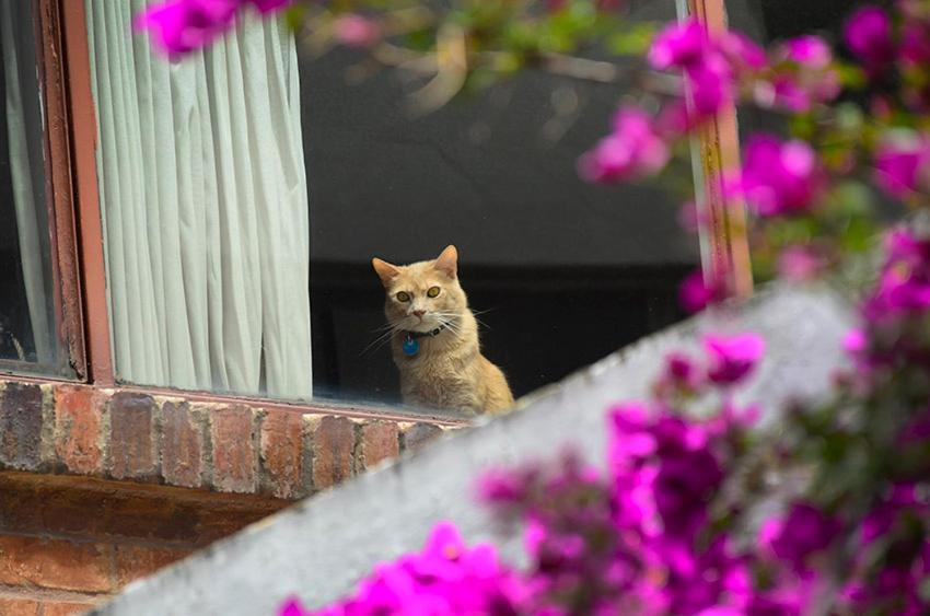 Hostal La Pinta Bogotá Eksteriør bilde